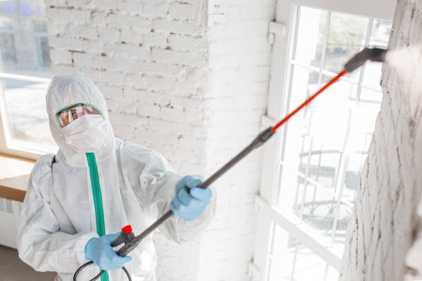 Best Emergency Mold Remediation  in Parma, ID