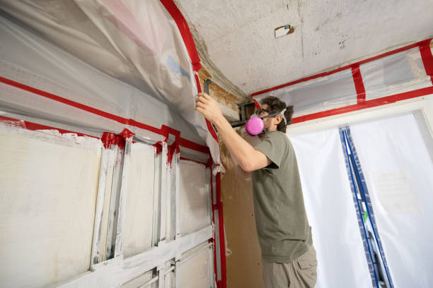 Best Mold Odor Removal Services  in Parma, ID